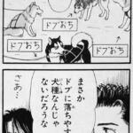 fu7315142